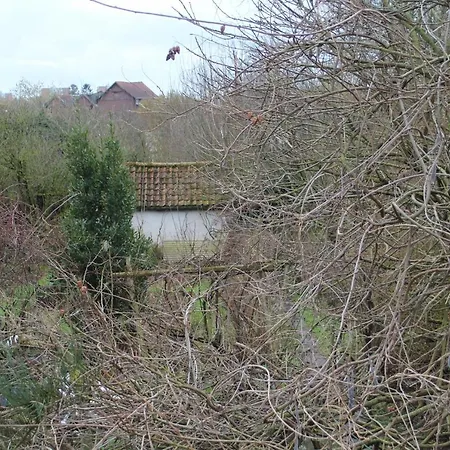 Maison D'artiste Acces Jardin Lägenhet Maubeuge